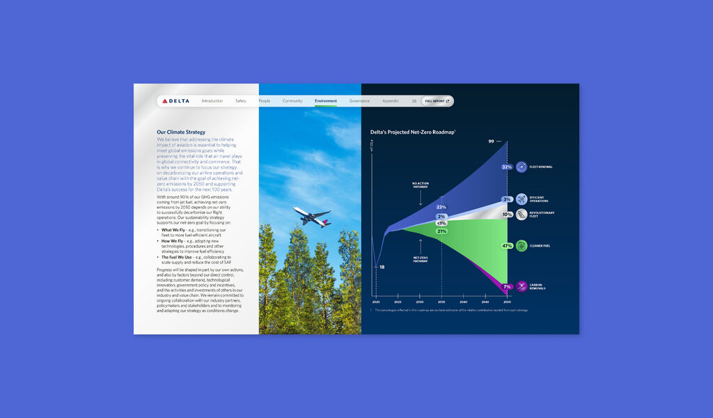 Delta -- Net Zero Pathway